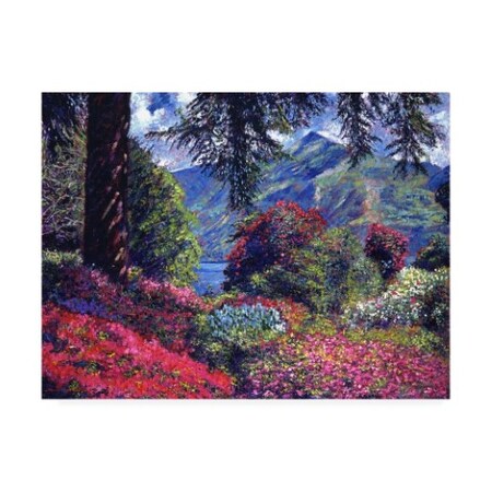 Trademark Fine Art David Lloyd Glover 'Lake Villa Carlotta Italy' Canvas Art, 18x24 DLG00968-C1824GG